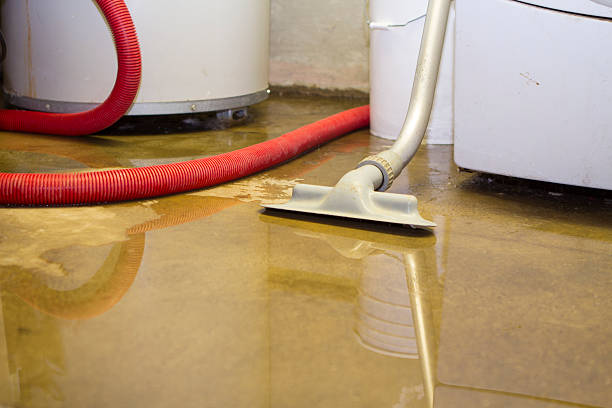 Best Local water damage restoration  in Monticello, MS