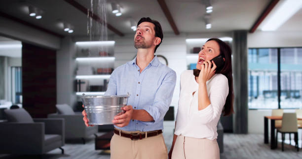 Best Mold removal after water damage  in Monticello, MS
